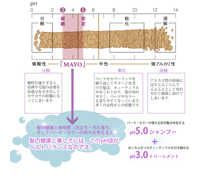 プロが作ったシャンプー